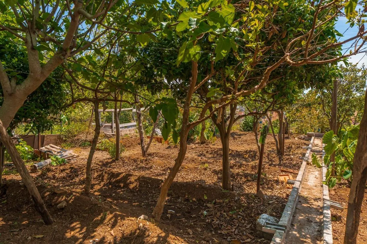 Holiday home Casinha Dos Canhas By An Island Apart Ponta do Sol